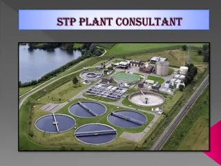 stp plant consultant