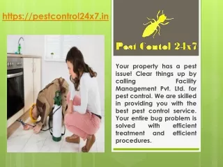 Pest Control in Gurugaram