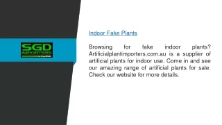Indoor Fake Plants  Artificialplantimporters.com.au