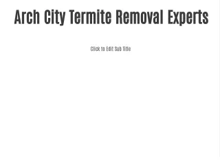 Arch City Termite Removal Experts