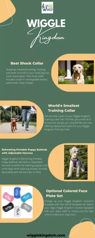 What Is a Small Shock Collar for Dogs and Why Should I Use One?