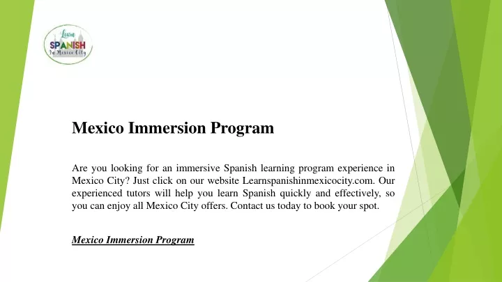mexico immersion program