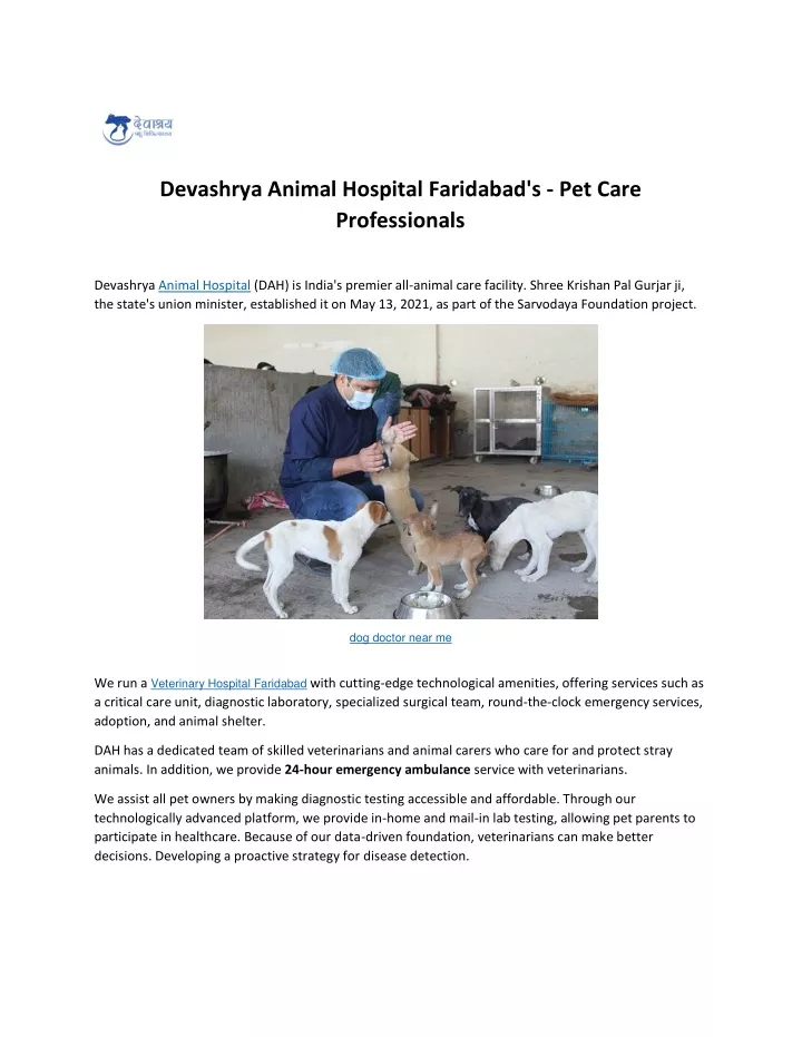 devashrya animal hospital faridabad s pet care