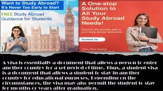 a visa is essentially a document that allows