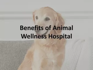 Benefits of Animal Wellness Hospital