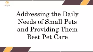 Addressing the Daily Needs of Small Pets and Providing Them Best Pet Care