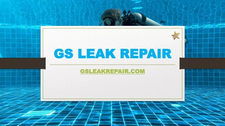 gs leak repair