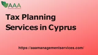 Tax  Planning Services in Cyprus