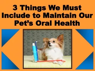 3 Must Include Steps to Maintain Pet’s Oral Health