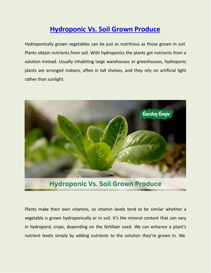 hydroponic vs soil grown produce