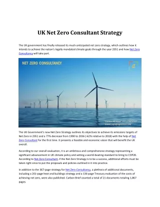 UK Net Zero Consultant Strategy