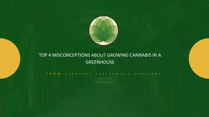 top 4 misconceptions about growing cannabis