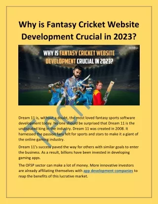 why is fantasy cricket website development