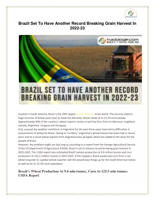 brazil set to have another record breaking grain