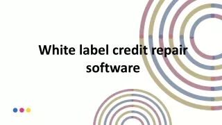 White label credit repair software