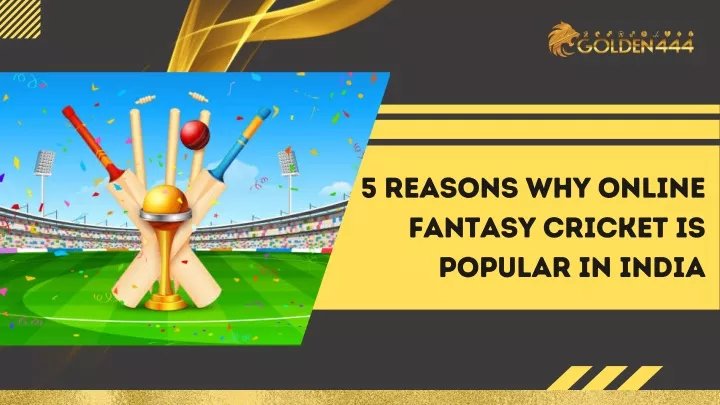 5 reasons why online fantasy cricket is popular