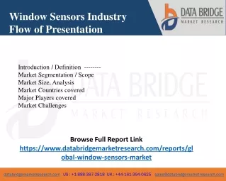 Window Sensors Industry