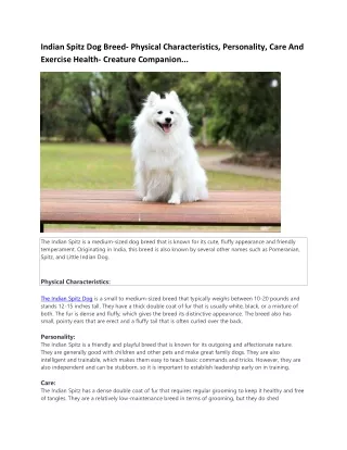 Indian Spitz Dog Breed Information creature companion