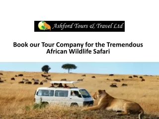 Book our Tour Company for the Tremendous African Wildlife Safari
