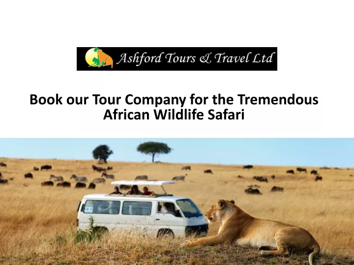 book our tour company for the tremendous african wildlife safari