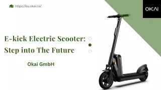 e-kick Electric Scooter: Step into The Future