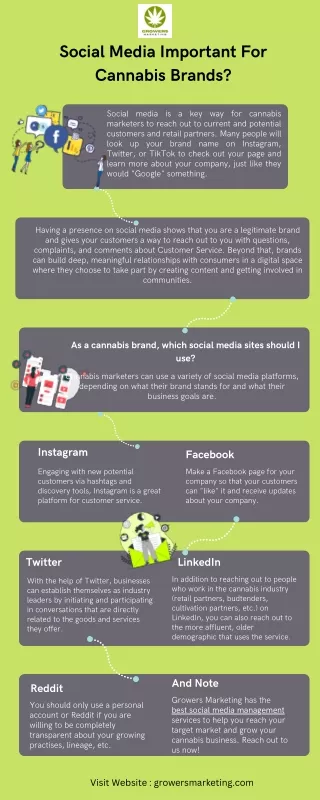 Social Media Important For Cannabis Brands