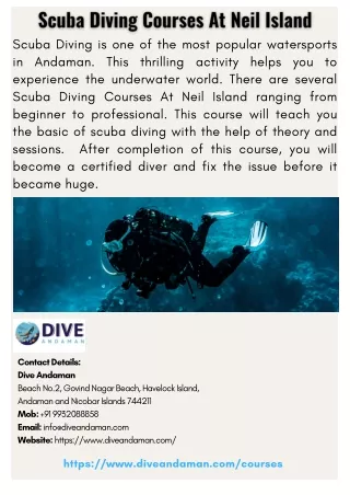 scuba diving is one of the most popular