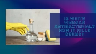 Is White Vinegar Antibacterial