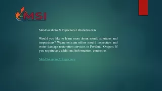 Mold Solutions & Inspections  Wearemsi.com