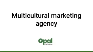 Opal Multicultural Marketing