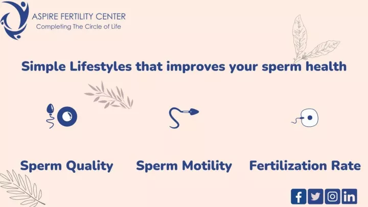 PPT - Simple Lifestyle To Improve Sperm Health PowerPoint Presentation ...