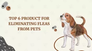 Top 6 Product For Eliminating Fleas From Pets - Canada Vet Express