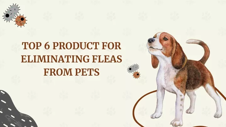 top 6 product for eliminating fleas from pets