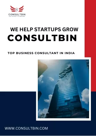 CONSULTBIN (2)