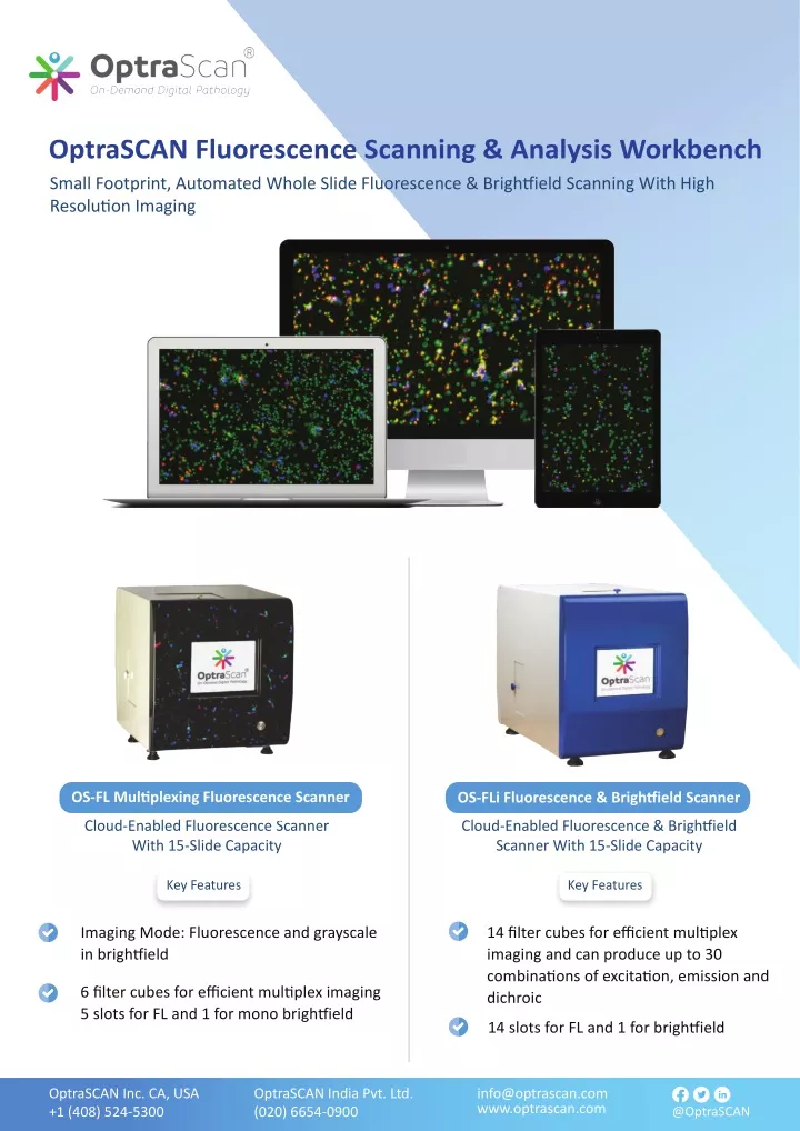 optrascan fluorescence scanning analysis