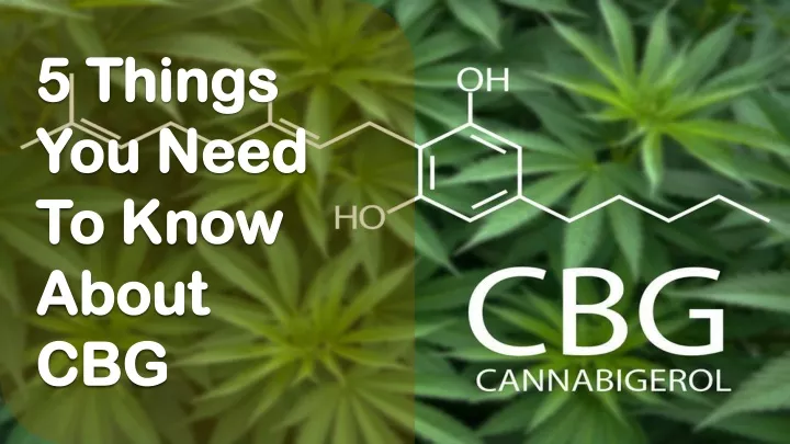 5 things you need to know about cbg