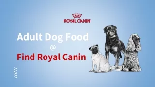 Find Royal Canin Adult Dog Food
