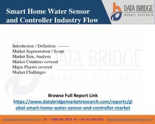Smart Home Water Sensor and Controller Market Scope