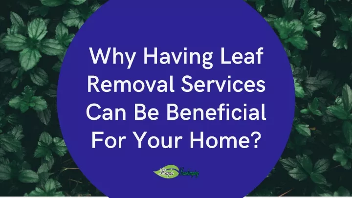 why having leaf removal services