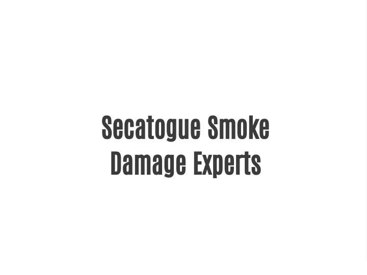 secatogue smoke damage experts