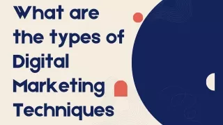 what are the types of digital marketing techniques