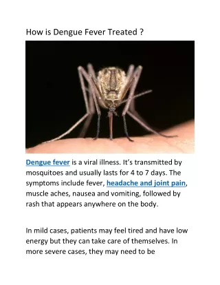 How is Dengue Fever Treated