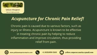 Acupuncture for Chronic Pain Relief!