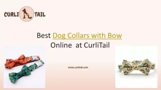 Dog collar with bow|  Curli Tail