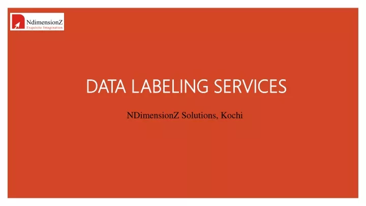 data labeling services