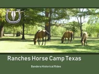 Ranches Horse Camp Texas