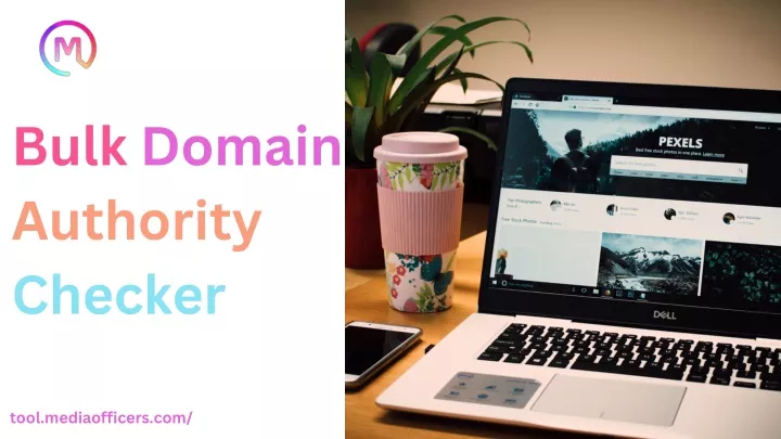 bulk domain authority checker