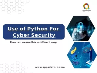 Best Ways You Can Use Python For Cybersecurity - AppsDevPro