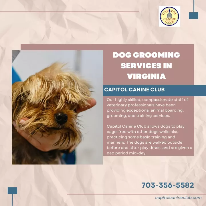 dog grooming services in virginia