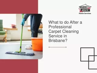 What to do After a Professional Carpet Cleaning Service in Brisbane